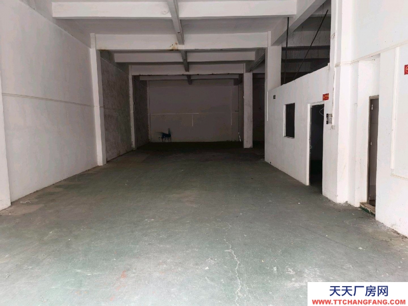 (出租) 廣州海珠區(qū)倉庫方正好用沒有管理費