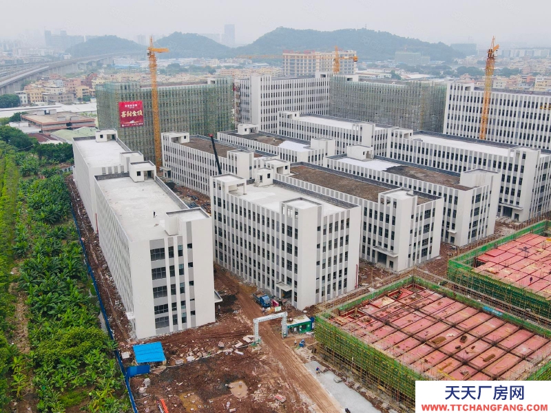 (出售) 獨棟4600方，現樓！國有工業產權廠房 南站6公里