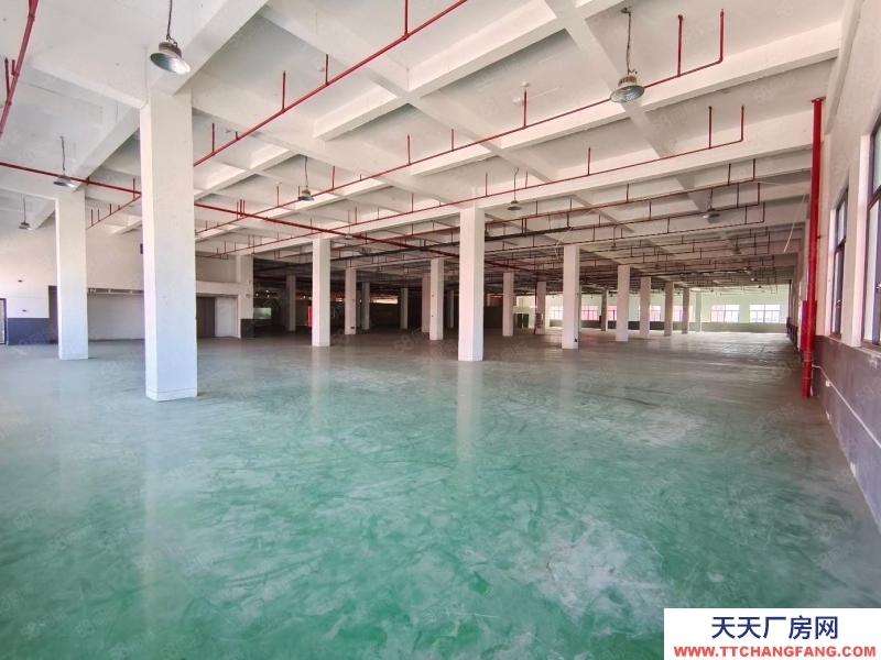 (出租) 福州閩侯縣房東出租 高新區6萬平全新廠房招商