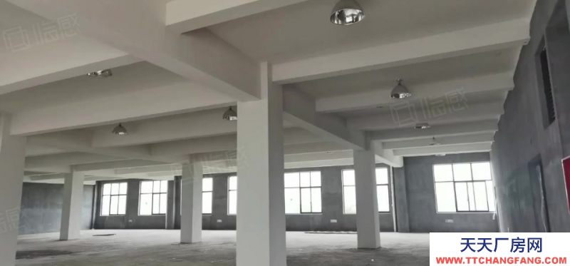 杭州濱江特價！高標廠房3層1695，每層585平，二三樓預(yù)留吊裝