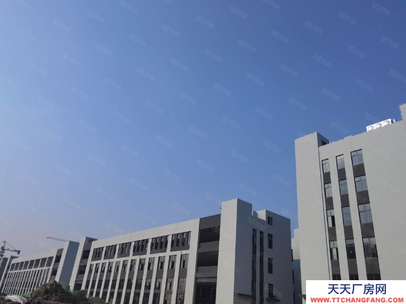 杭州濱江特價！高標廠房3層1695，每層585平，二三樓預留吊裝