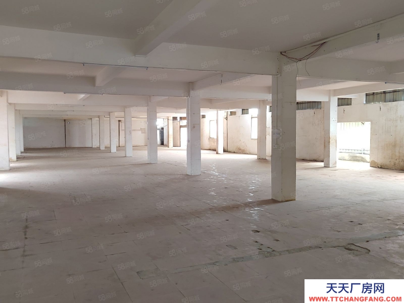 (出租) 花都區花城街獨門獨院2800方廠房倉庫低價出租主干道旁邊