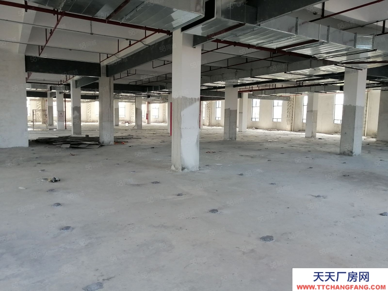 (出租) 花都區新雅街南陽莊獨院標準廠房3500平方出租