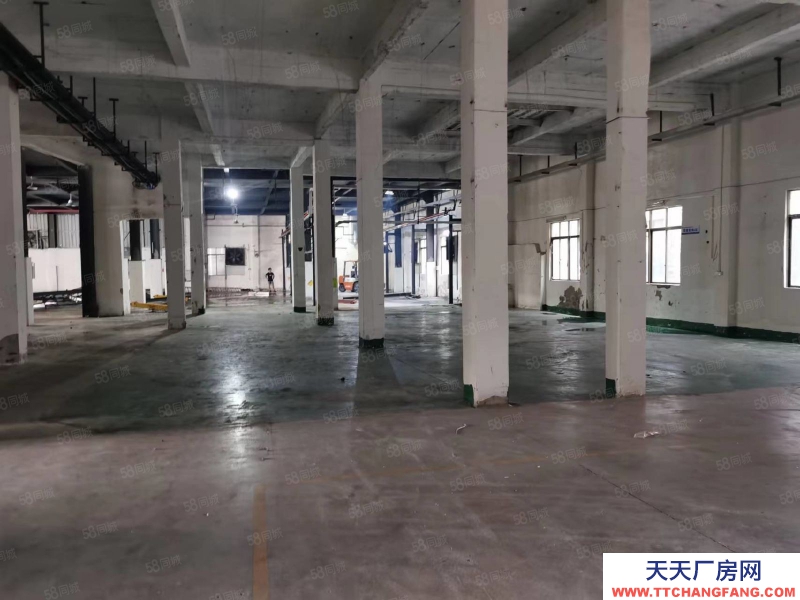 (出租) 花都低價 雅瑤工業區獨門獨院廠房出租，可分租可辦環評