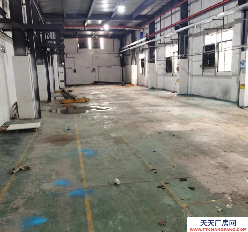 (出租) 花都低價 雅瑤工業區獨門獨院廠房出租，可分租可辦環評