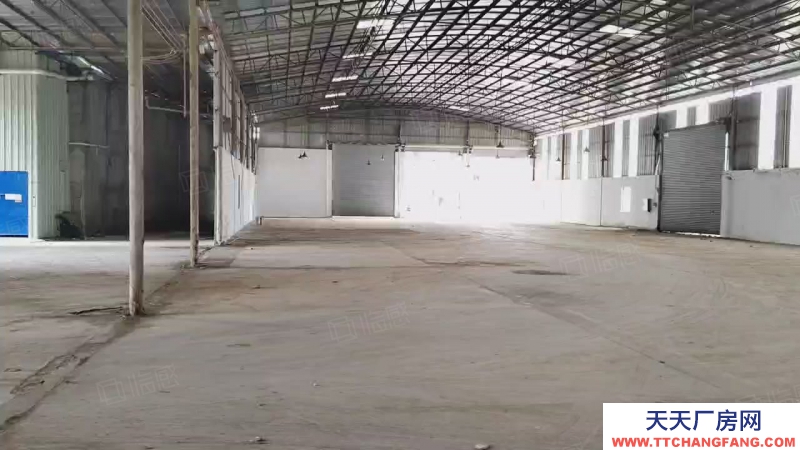 (出租) 花都花東鎮8000房獨門獨院廠房，8米滴水，可辦環評