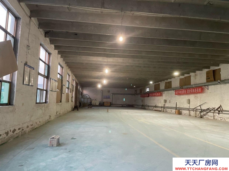 石家莊 正定南牛鄉東賈村村東外環