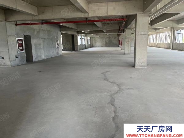 南京市浦口區小柳工業園 200到3500平 多套出租 隨時看房