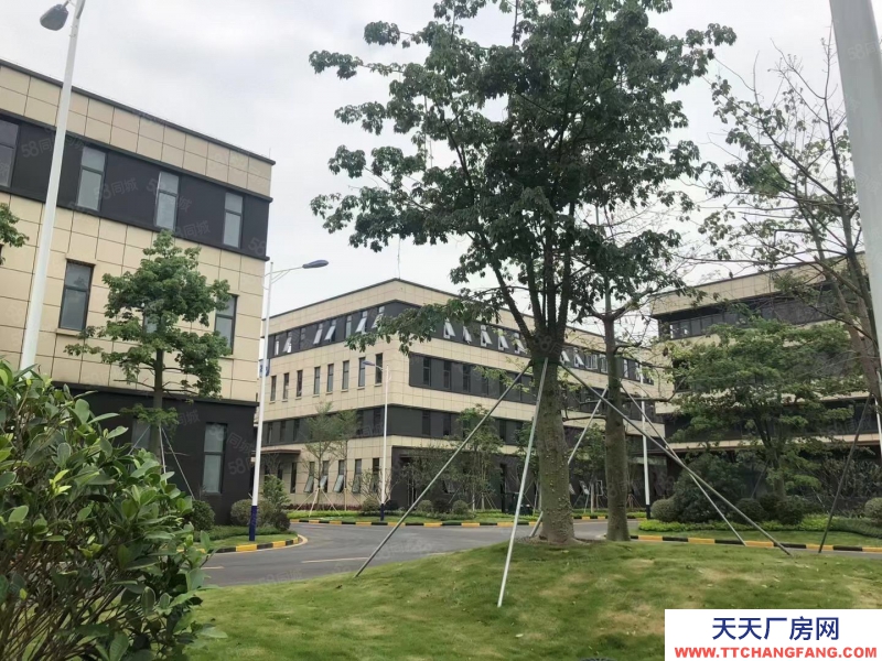 石家莊 正定  三層獨立廠房 首層7.9米 正定自貿區 低首付可環評