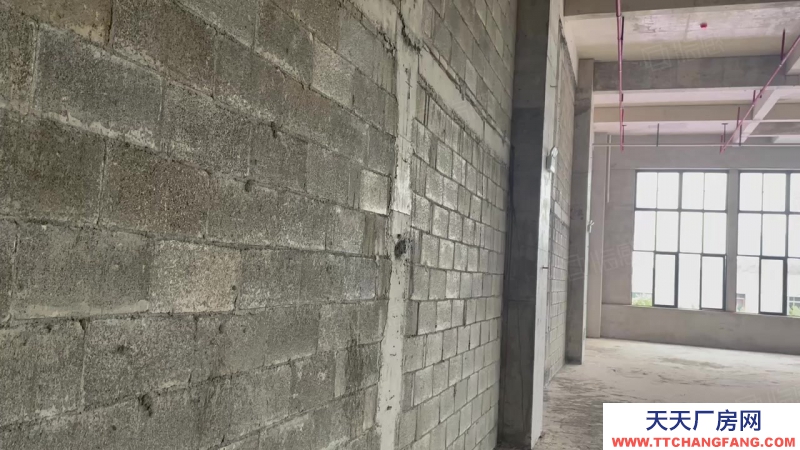 南寧市西鄉塘區(出租) 科銘大廈全新標準廠房租售，價低，用途廣泛