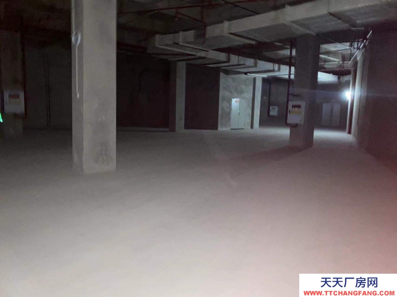 重慶大渡口區金家灣附近倉庫，500到3000平可拆分，中介勿擾