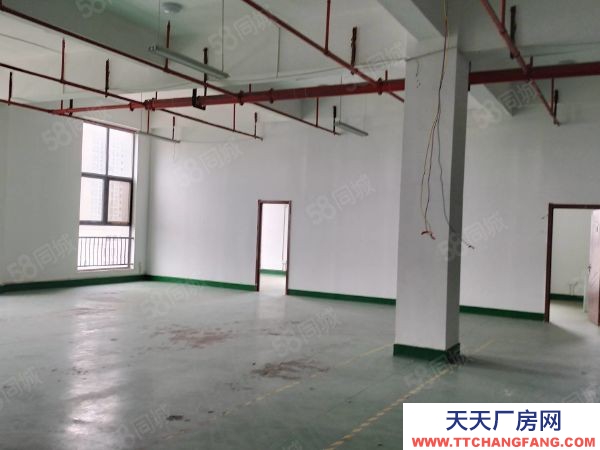 南京市浦口區(qū)天潤城地鐵口廠房出租有貨梯大車口進采光好隨時看房