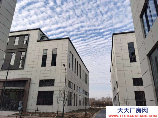 南京市浦口區稀版 二層半獨棟獨享私人空間 生產辦公研發一體 現房直招