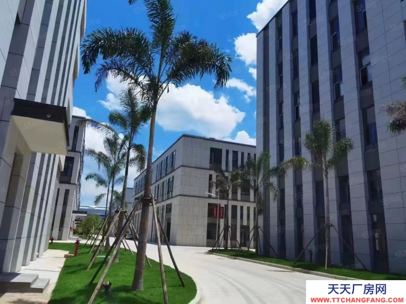 南寧市西鄉(xiāng)塘區(qū)(出租) 北湖路廠房308至2600平，租金低，隨時用