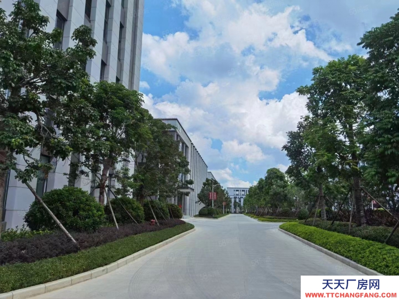 南寧市西鄉(xiāng)塘區(qū)(出租) 北湖路廠房308至2600平，租金低，隨時用