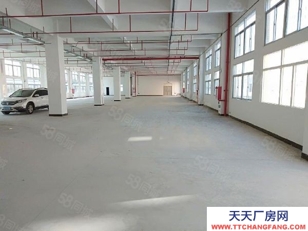 南京市浦口區(qū)江北食品園區(qū)環(huán)評消防，燃?xì)庹羝鬯幚恚赊kSC，可定制