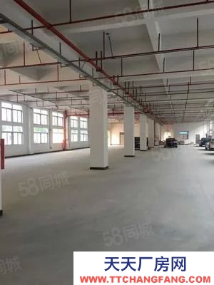 南京市浦口區(qū)江北食品園區(qū)環(huán)評消防，燃?xì)庹羝鬯幚恚赊kSC，可定制