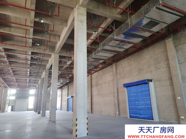 南京市棲霞龍?zhí)丢?dú)門(mén)獨(dú)院全新廠房35000平可分組交通方便