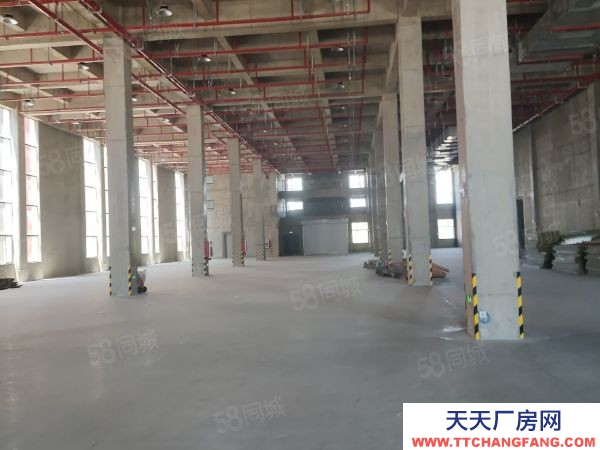 南京市棲霞龍?zhí)丢?dú)門(mén)獨(dú)院全新廠房35000平可分組交通方便