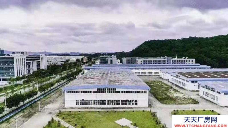(出售) 廣州花都獨院廠房出售 產權清晰 空地大 好進車 大馬路邊上