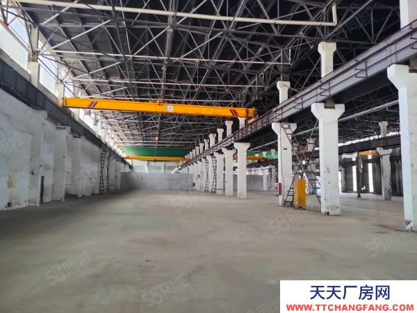 南京市棲霞新港12000平獨門獨院。全單層鋼架結構有航車