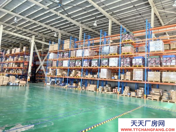 南京市棲霞新港12000平獨門獨院。全單層鋼架結構有航車