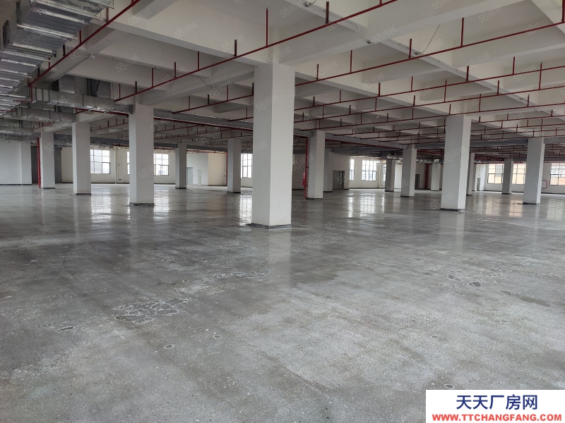 (出租) 增城太平洋大型工業園21000方小100平方起分可辦環評