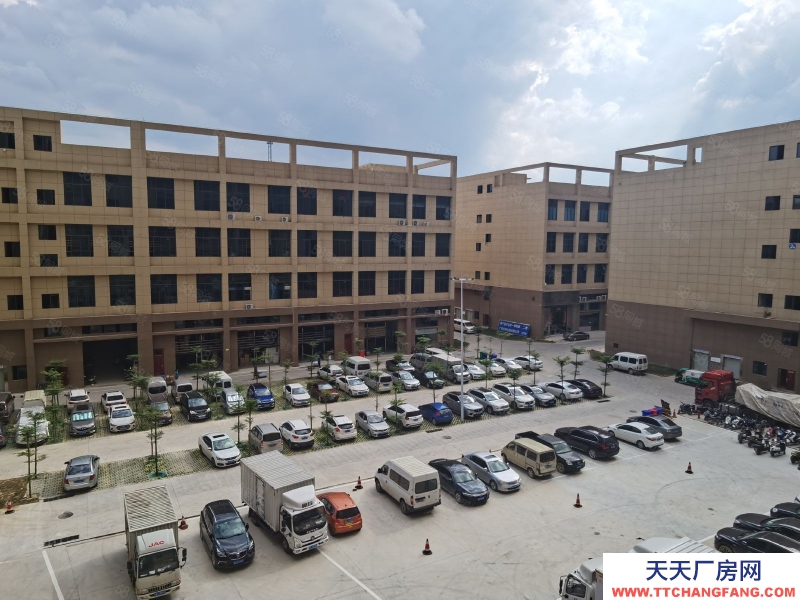 南寧市西鄉塘區(出租) 標準廠房租售同步，層高56米，面積300起，行業不限！