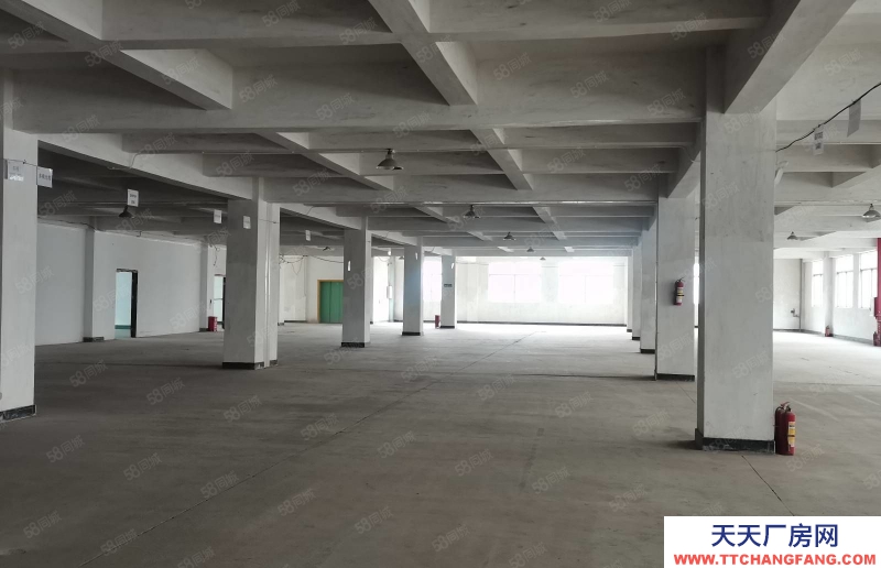 (出租) 增城新塘西獨院廠房帶裝修可辦環評證件齊全形象佳500平方起租