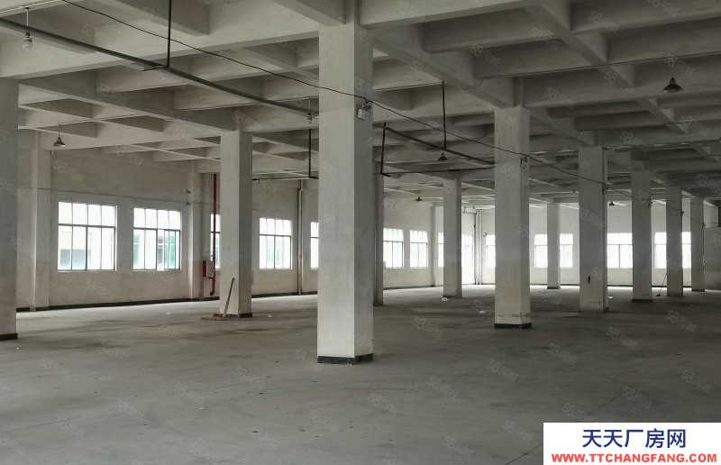 (出租) 增城新塘西獨院廠房帶裝修可辦環評證件齊全形象佳500平方起租