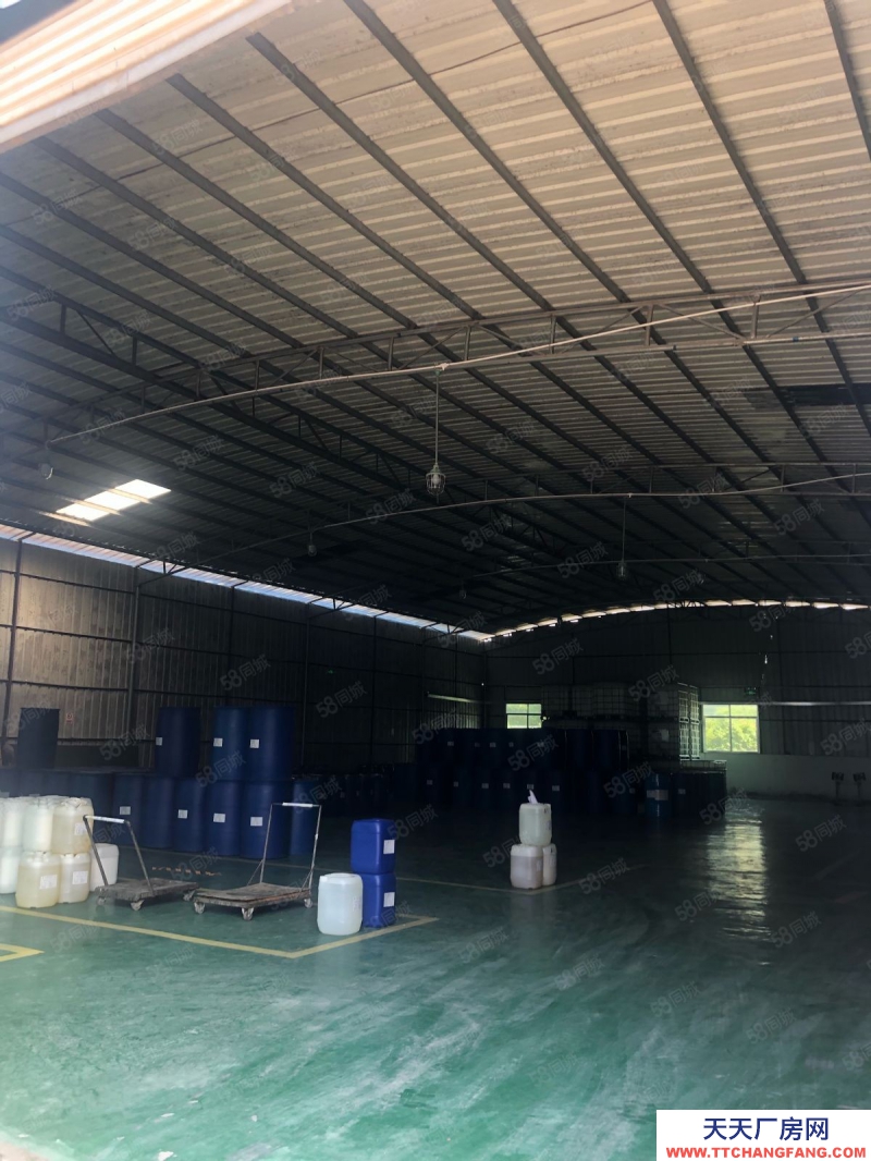 (出租) 永寧低價單一層獨棟鋼構廠房出租高度8米證件齊全大小可分租