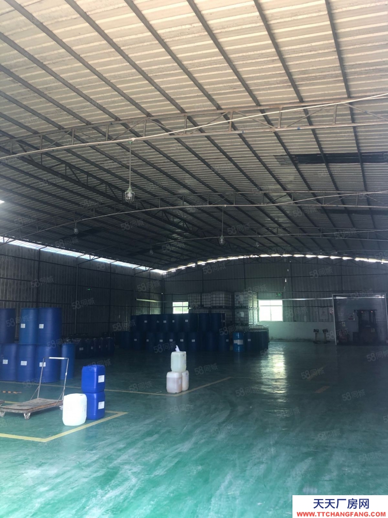 (出租) 永寧低價單一層獨棟鋼構廠房出租高度8米證件齊全大小可分租