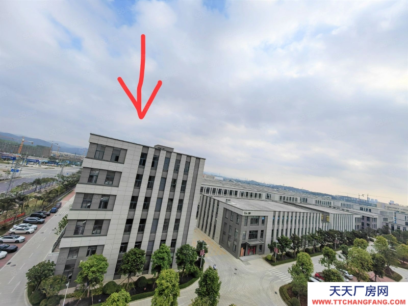 南寧市西鄉塘區(出租) 低至18元現房直租高新300平可分租面積靈活租約方便停車