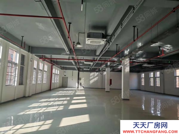 南京市棲霞區新港開發區 恒誼路1號廠房 一到三層 8米挑高 已隔兩層