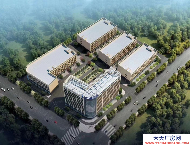 南寧市西鄉塘區(出租) 特惠房源，10塊錢一平起租，還剩少量房源可租