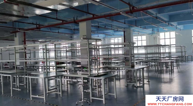 (出租) 科學城 1樓2500方 3至9樓500至1萬方 公攤少