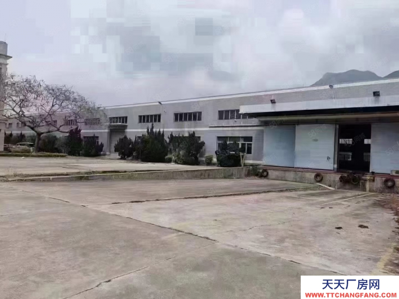 (出租) 福州福清漁溪多棟多層廠房50000可分割出租需要福清各種廠房聯系