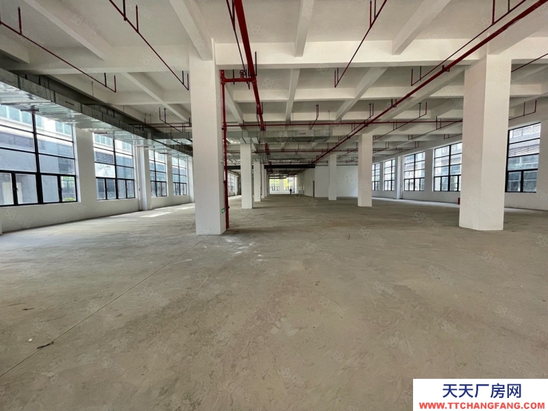 (出租) 黃埔區4S店,新能源場地5000平招租,證件齊全可鈑噴