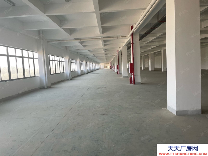 (出租) 福州福清城頭標準廠房整棟5200平出租，鞋廠家具，鋼構1500