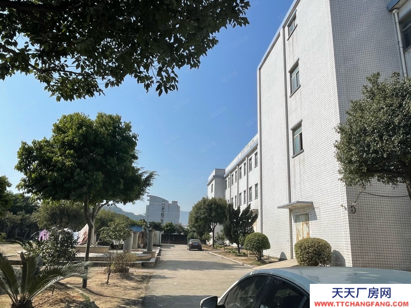 (出租) 福州福清城頭標準廠房整棟5200平出租，鞋廠家具，鋼構1500