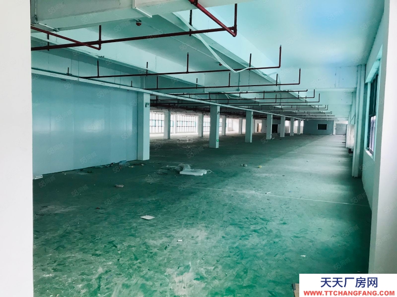 (出租) 福州福清宏路融僑經濟開發區 斯泰克工業園 1250平米廠房出租