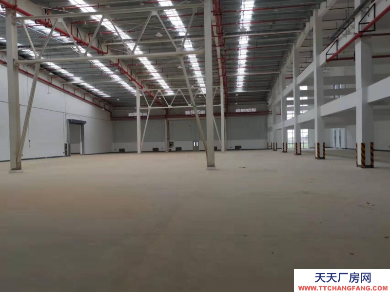 (出租) 南昌紅谷灘新區紅角洲望城附近廠房帶辦公