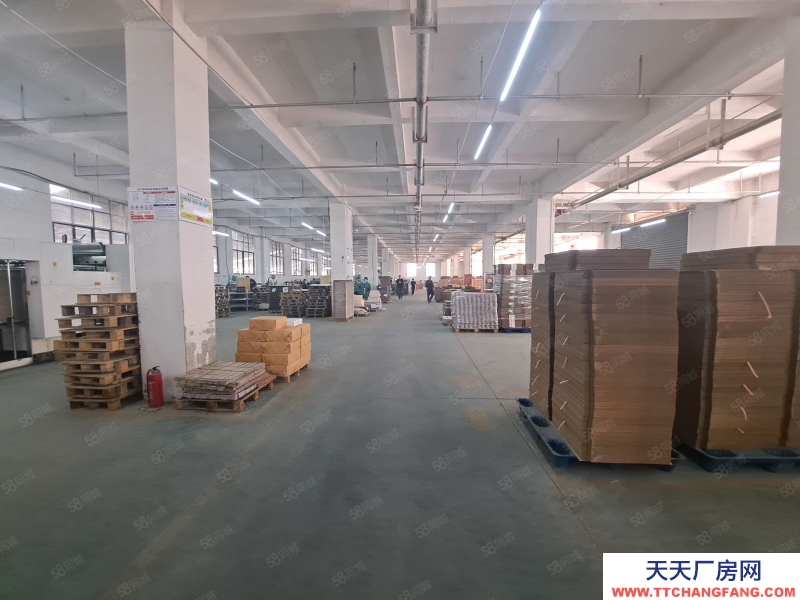 (出租) 南昌青山湖區(qū)廣州路標(biāo)準(zhǔn)廠房一樓出租