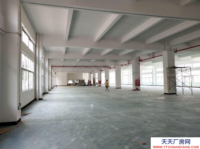 (出租) 南昌青山湖區(qū)昌東大道廣州路周邊廠房招租