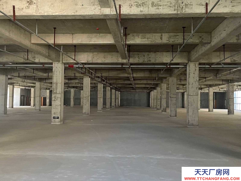 (出售) 南昌青山湖區(qū)南昌電子信息示范園四層廠房配套完善