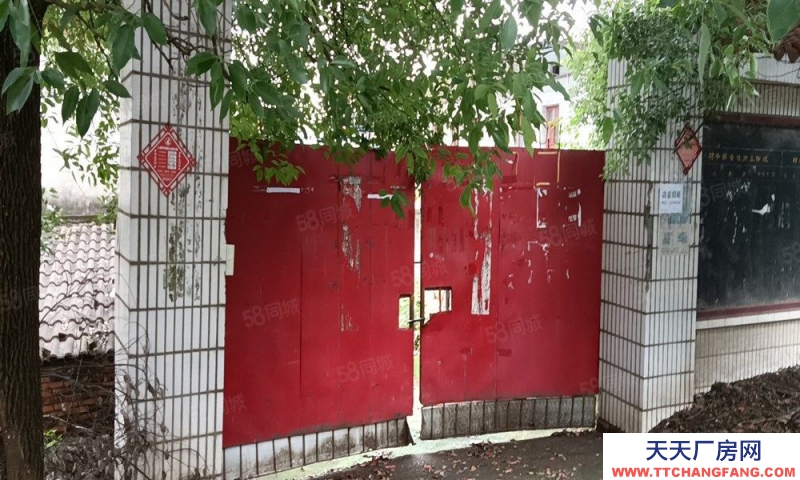 (出租)南昌東湖區(qū)揚子洲南江路村委會公交站獨院廠房倉庫出租