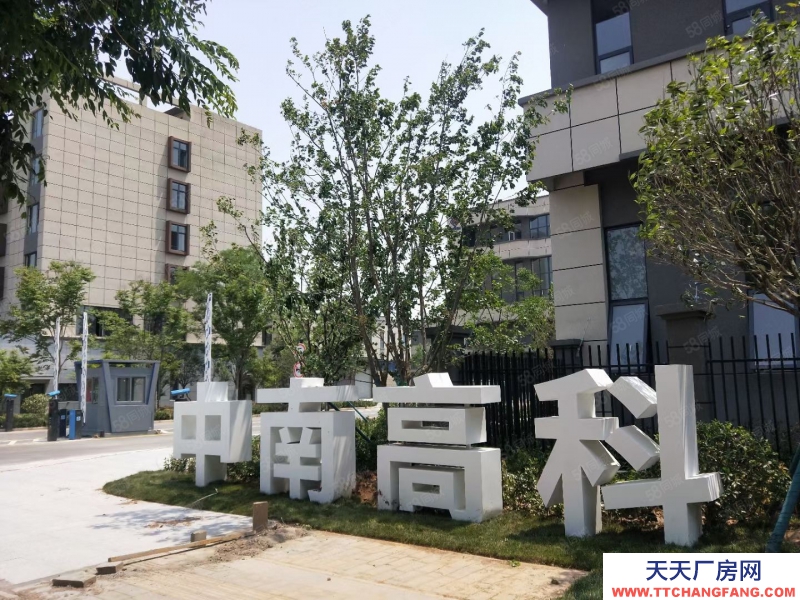 (出售) 企業(yè)獨(dú)棟 研發(fā)辦公 贈送超大露臺 50年產(chǎn)權(quán) 機(jī)場南國道邊