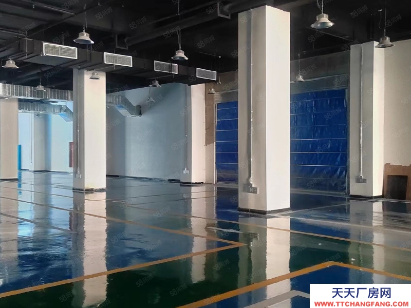 (出售) 大空間廠房轉讓,食品藥品,現房入住