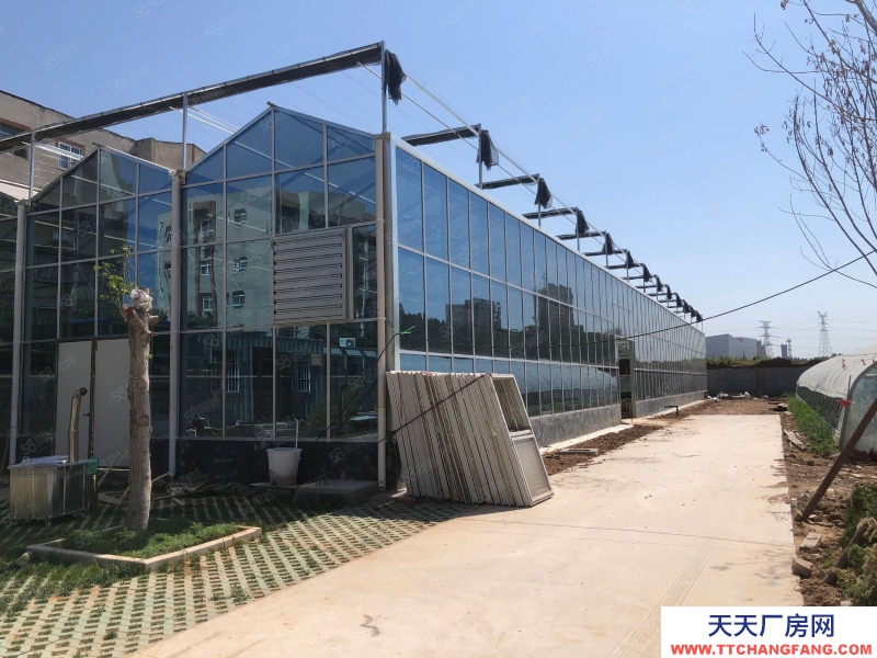 濟南長清平安北路獨門大院溫室培育基地場地倉庫出租