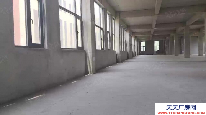 濟南長清現房廠房，即買即用，大平層，規整柱距柱網，自由分割內部空間